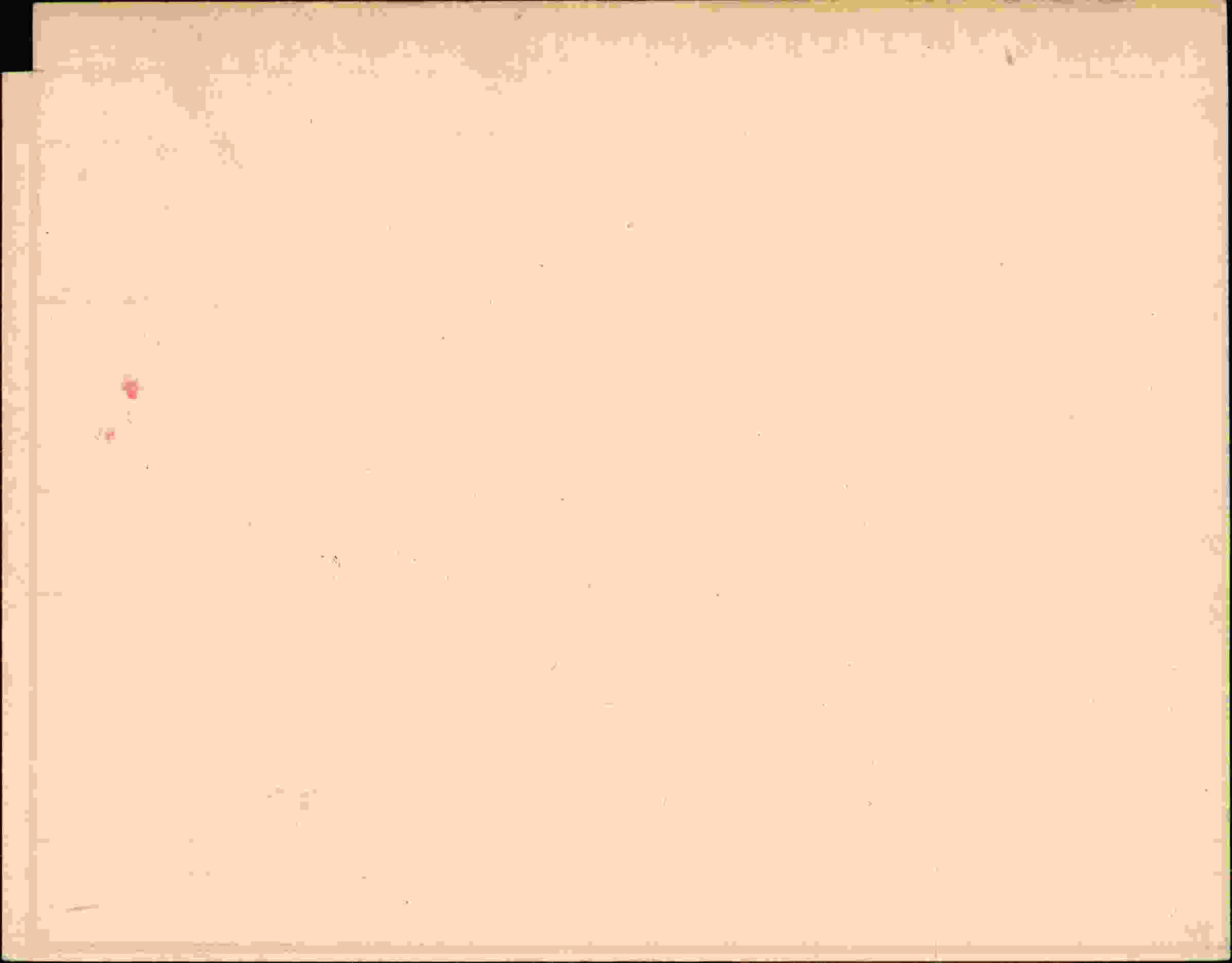 Rückseite des Dokuments
