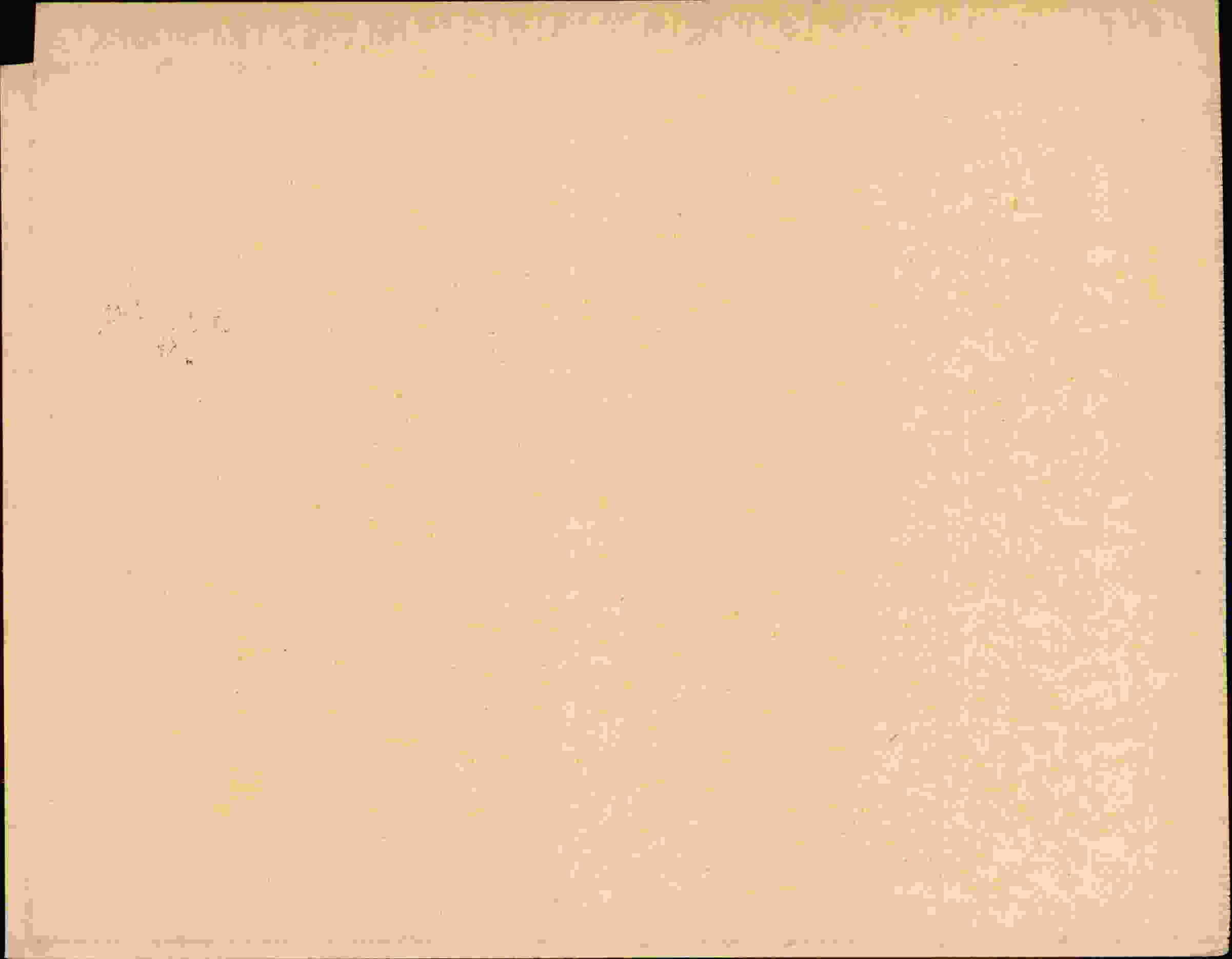 Rückseite des Dokuments