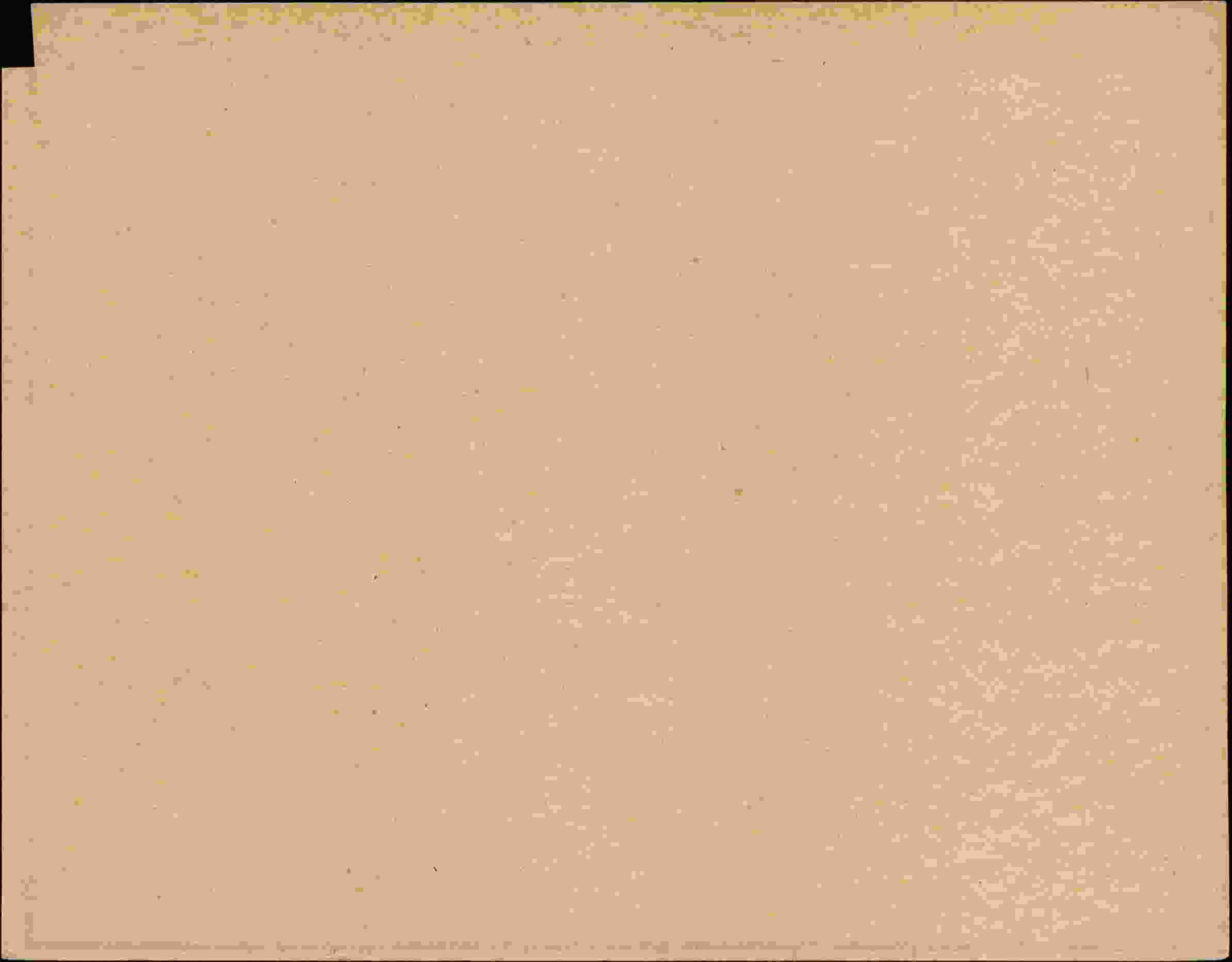 Rückseite des Dokuments