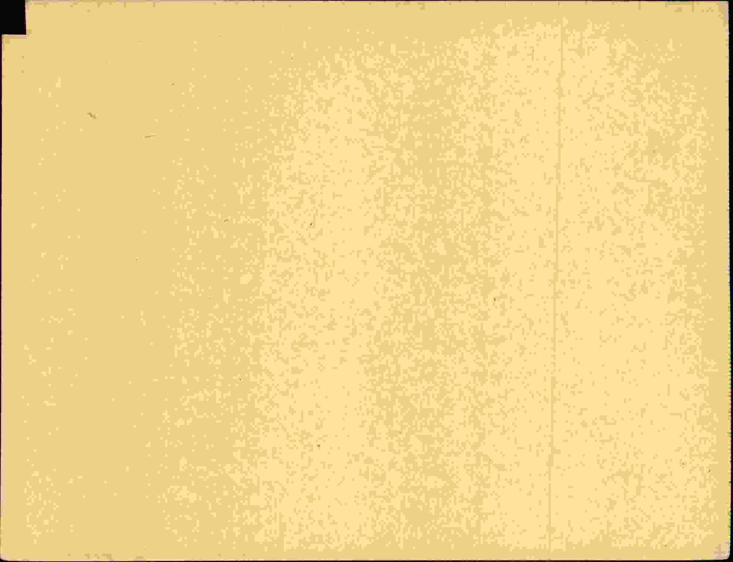 Rückseite des Dokuments